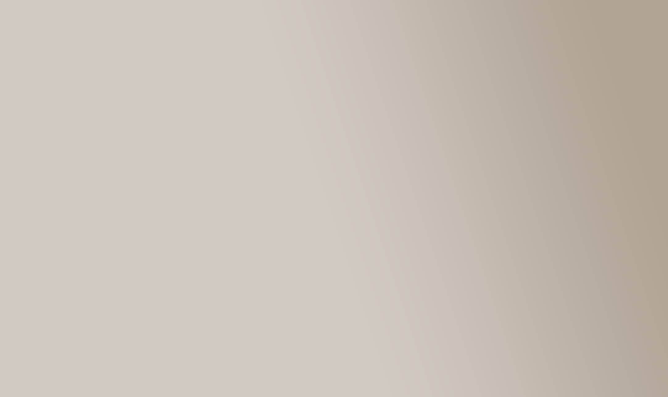 Solid light gray color swatch